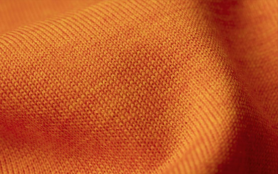 Dutch Orange Dutch Orange