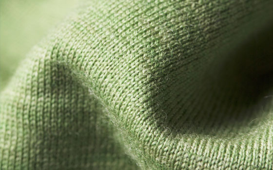 Soft Wasabi Soft Wasabi
