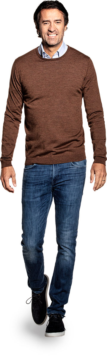 Crew neck sweater for men made of Merino wool in Brown