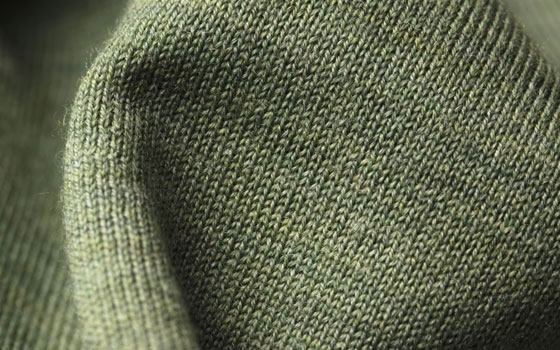 Agave Green Agave Green