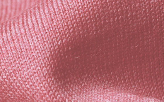 Rose Pastel Rose Pastel