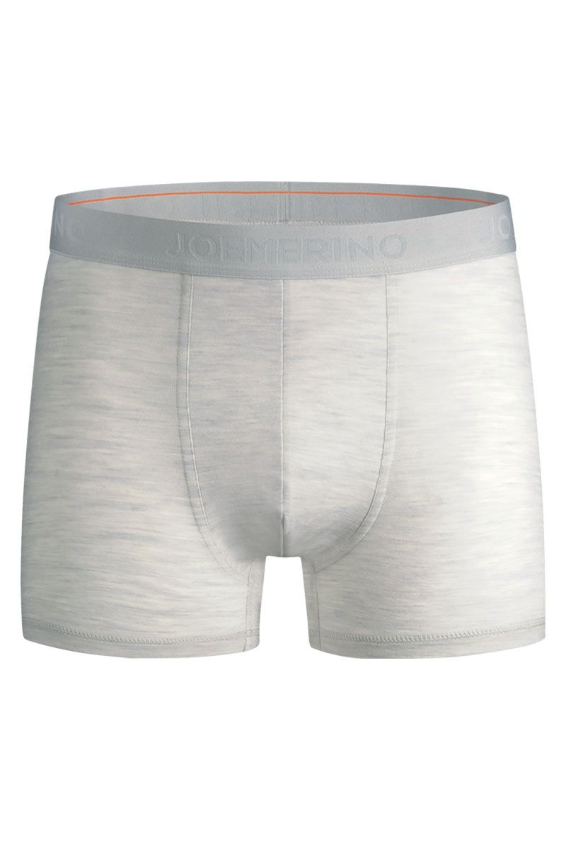 Funktionsunterwäsche Herren Hellgraue Boxershorts